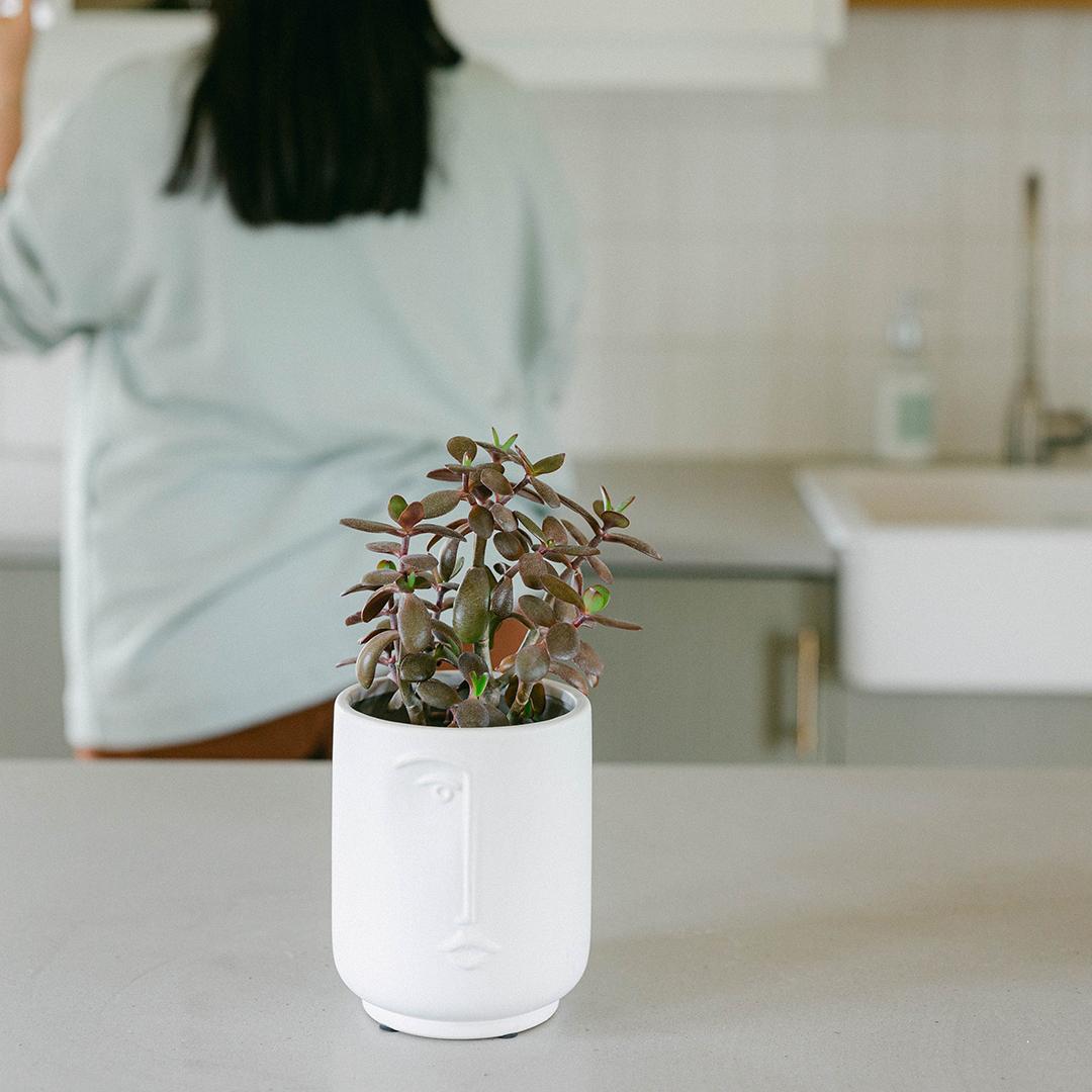 Flower Pot With A Face