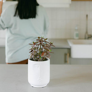 Flower Pot With A Face