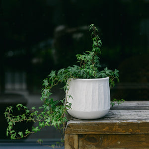 Textured Ceramic Flower Pots, Set of 2