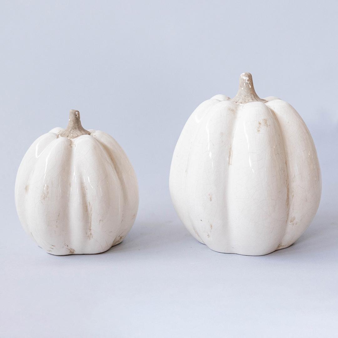 Two white pumpkins on a light gray background