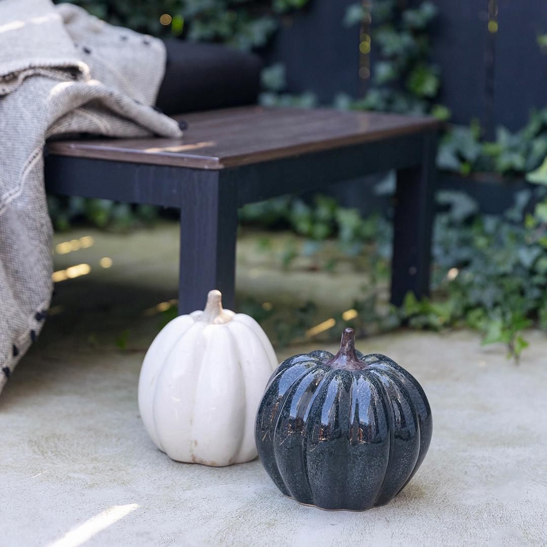 Two pumpkins, one white and one black, on a stone surface with a wooden bench and greenery in the background.