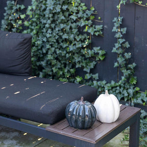 Ceramic pumpkin black