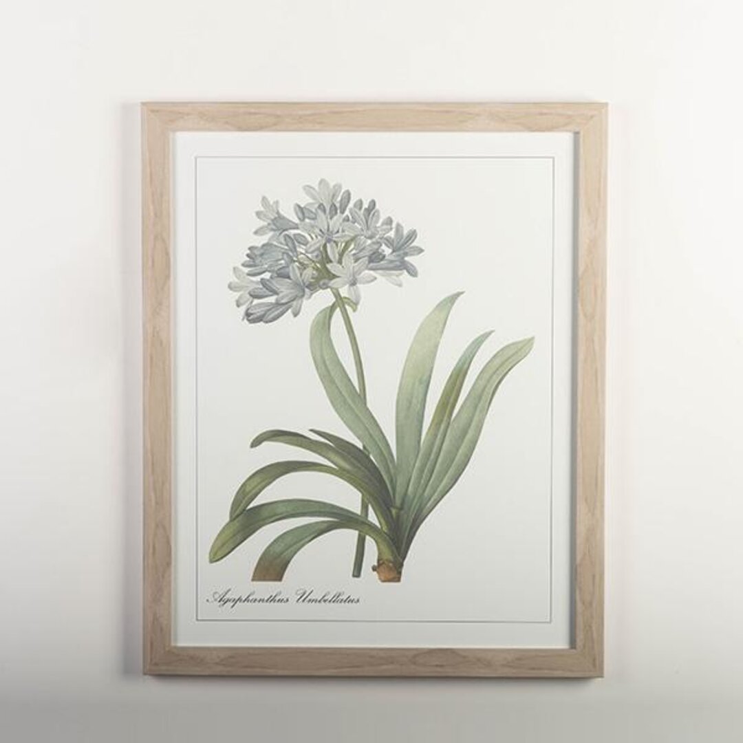 framed print with the blue wild indigo plant