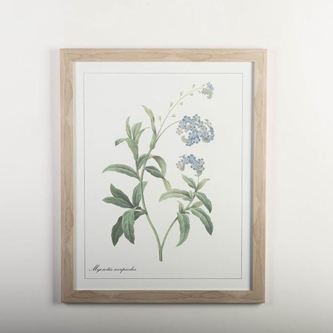 framed print with the blue wild indigo plant