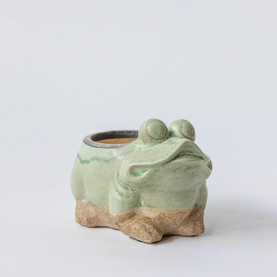 Frog Ceramic Flower Pot