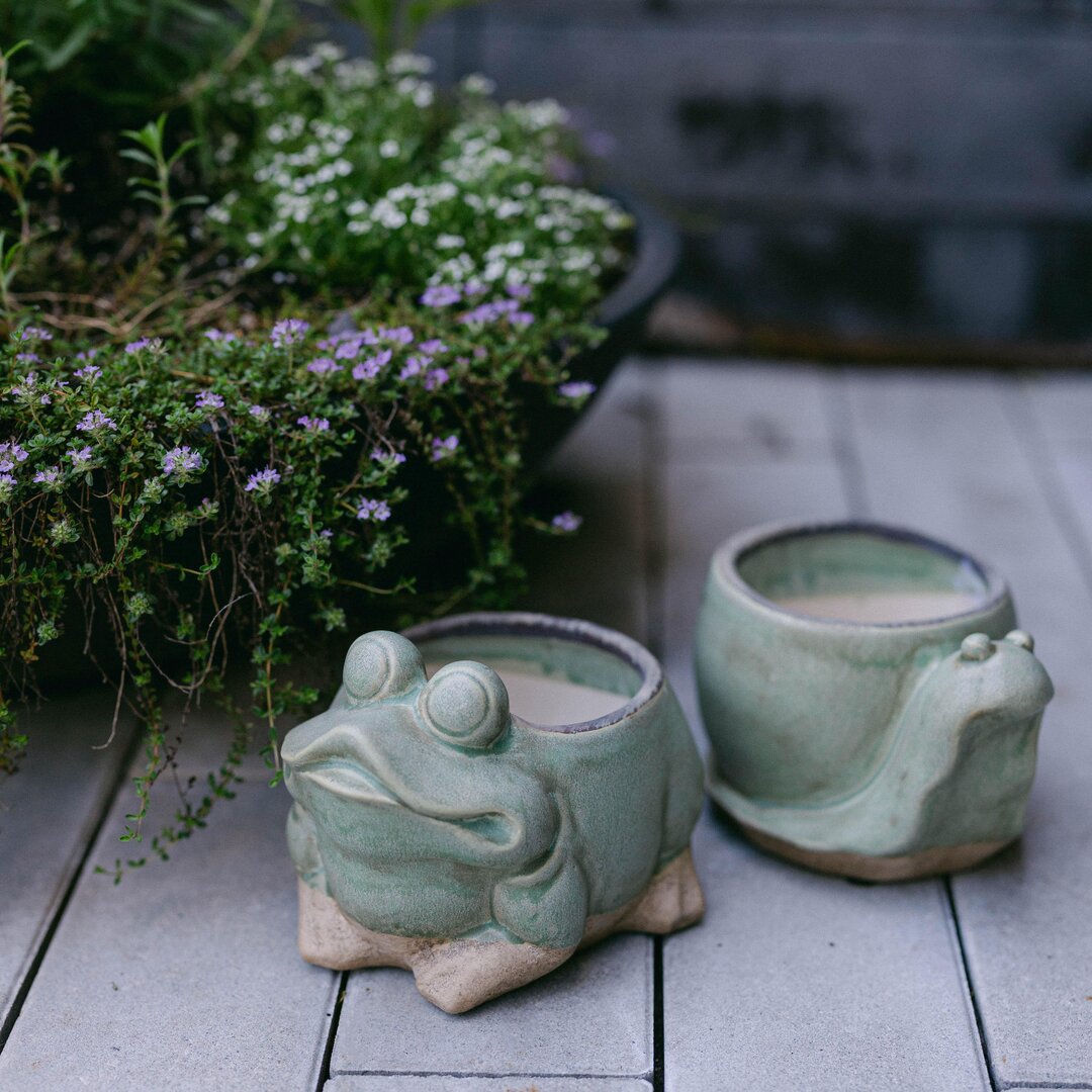 Frog Ceramic Flower Pot