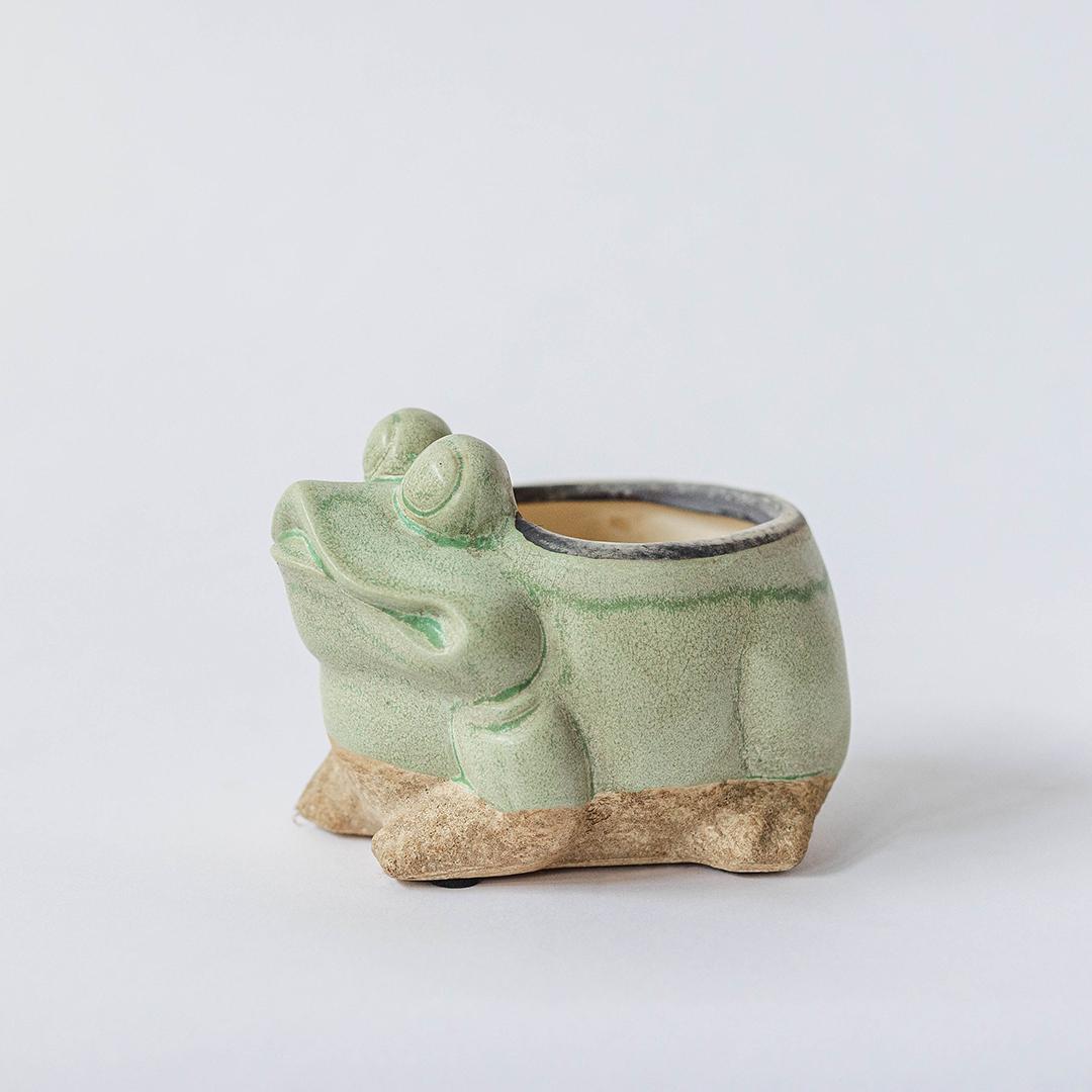 Frog Ceramic Flower Pot