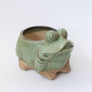 Frog Ceramic Flower Pot