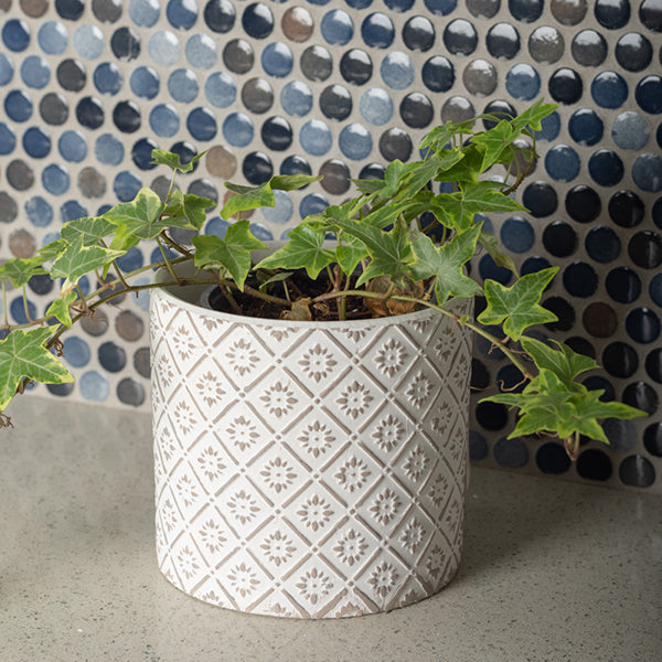 Cement Flower Pots