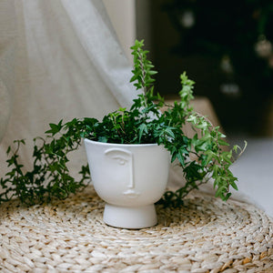 Flower Pot With A Face