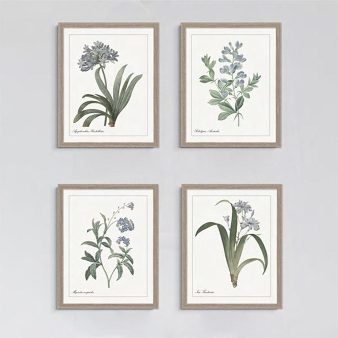 framed print with the blue wild indigo plant