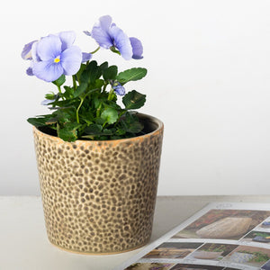 TEXTURED FLOWER POT