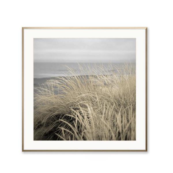 Framed Print "Golden Dunes"