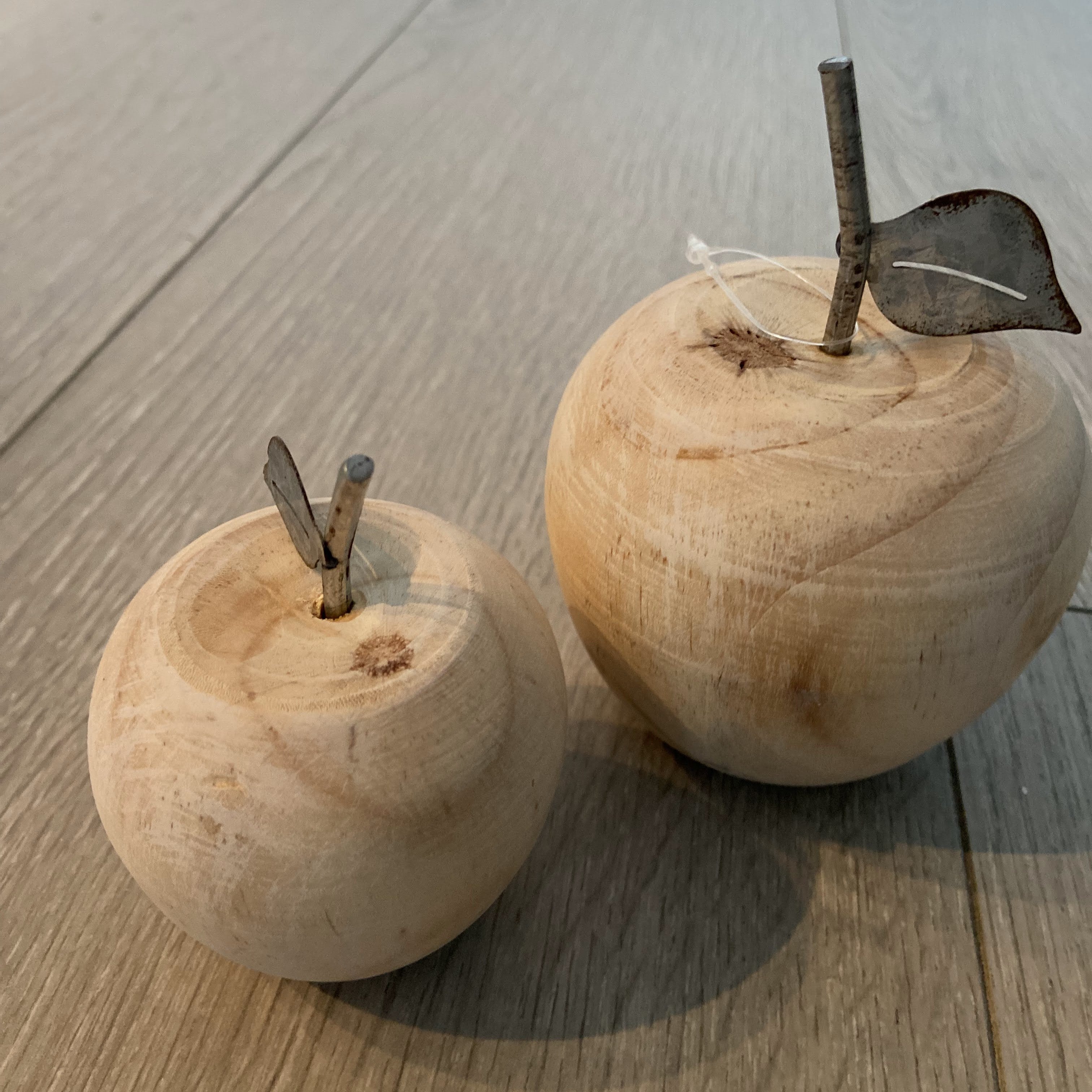 wooden_apple_2 Oak family
