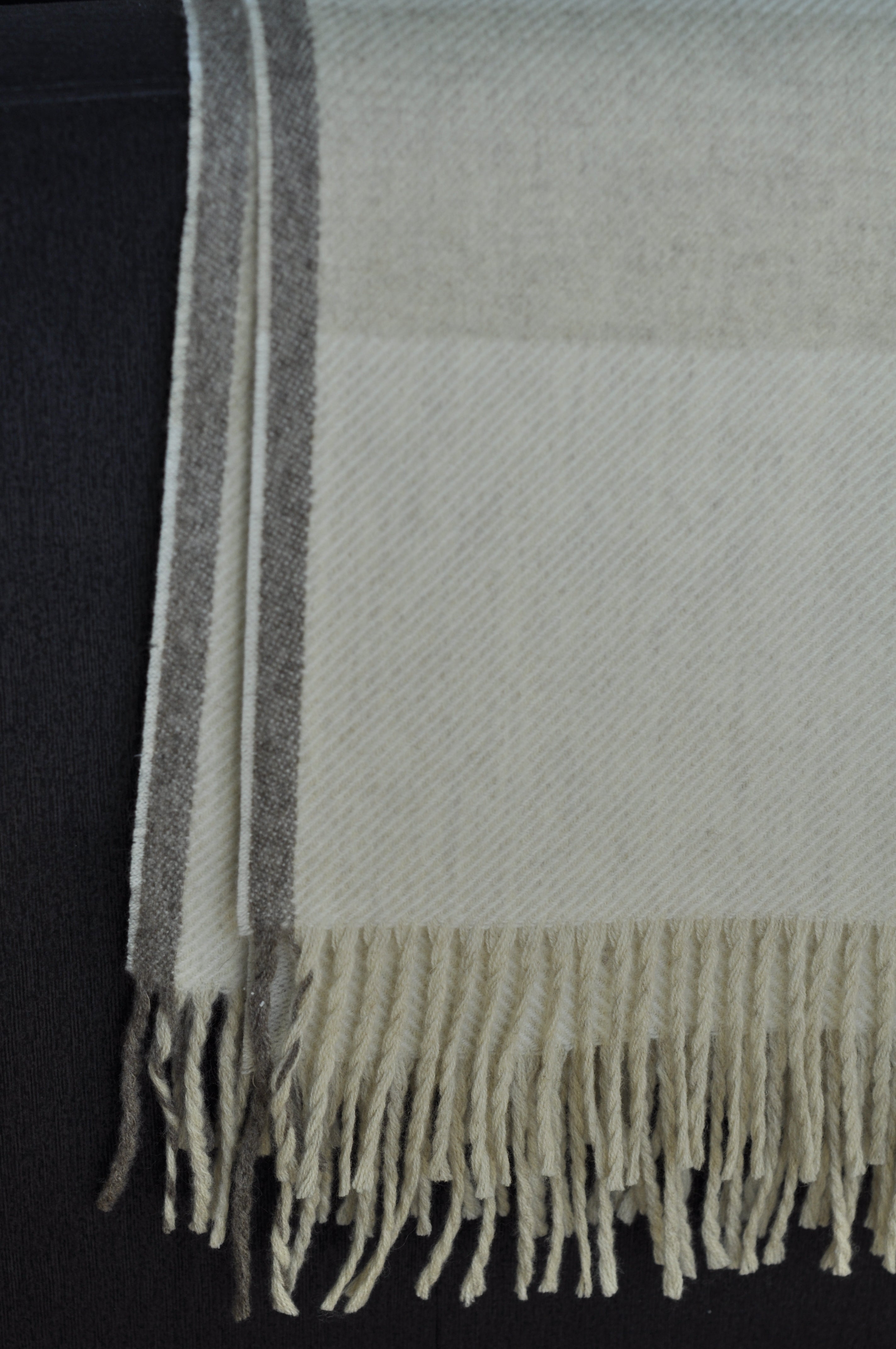 Cream Wool Scarf Long Tassel