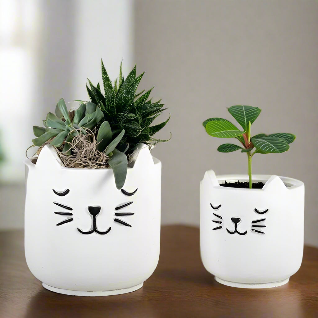 White kitten pots