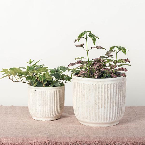 Flower Pots, Set of 2