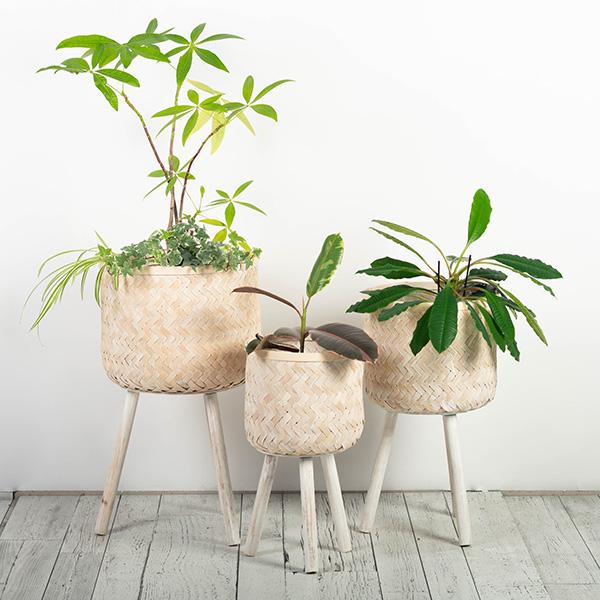 White Bamboo Standing Planter Pots, Set of 3