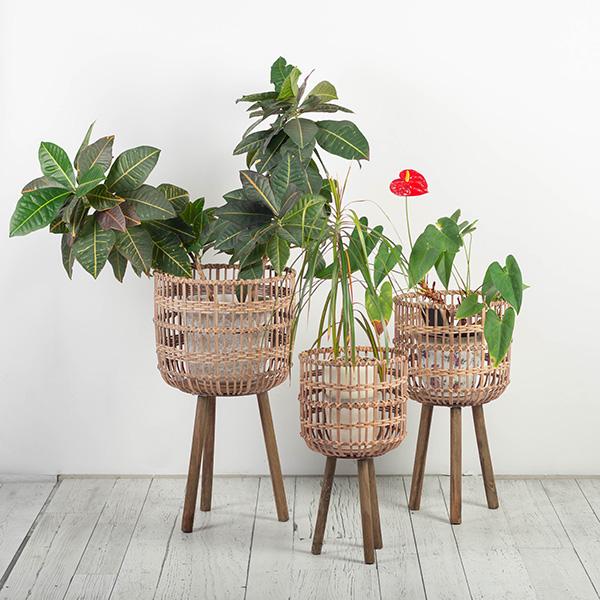 Brown Bamboo Standing Planter Pots, Set of 3