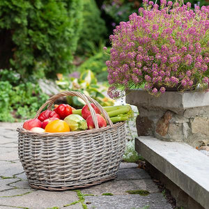 Willow Basket 
